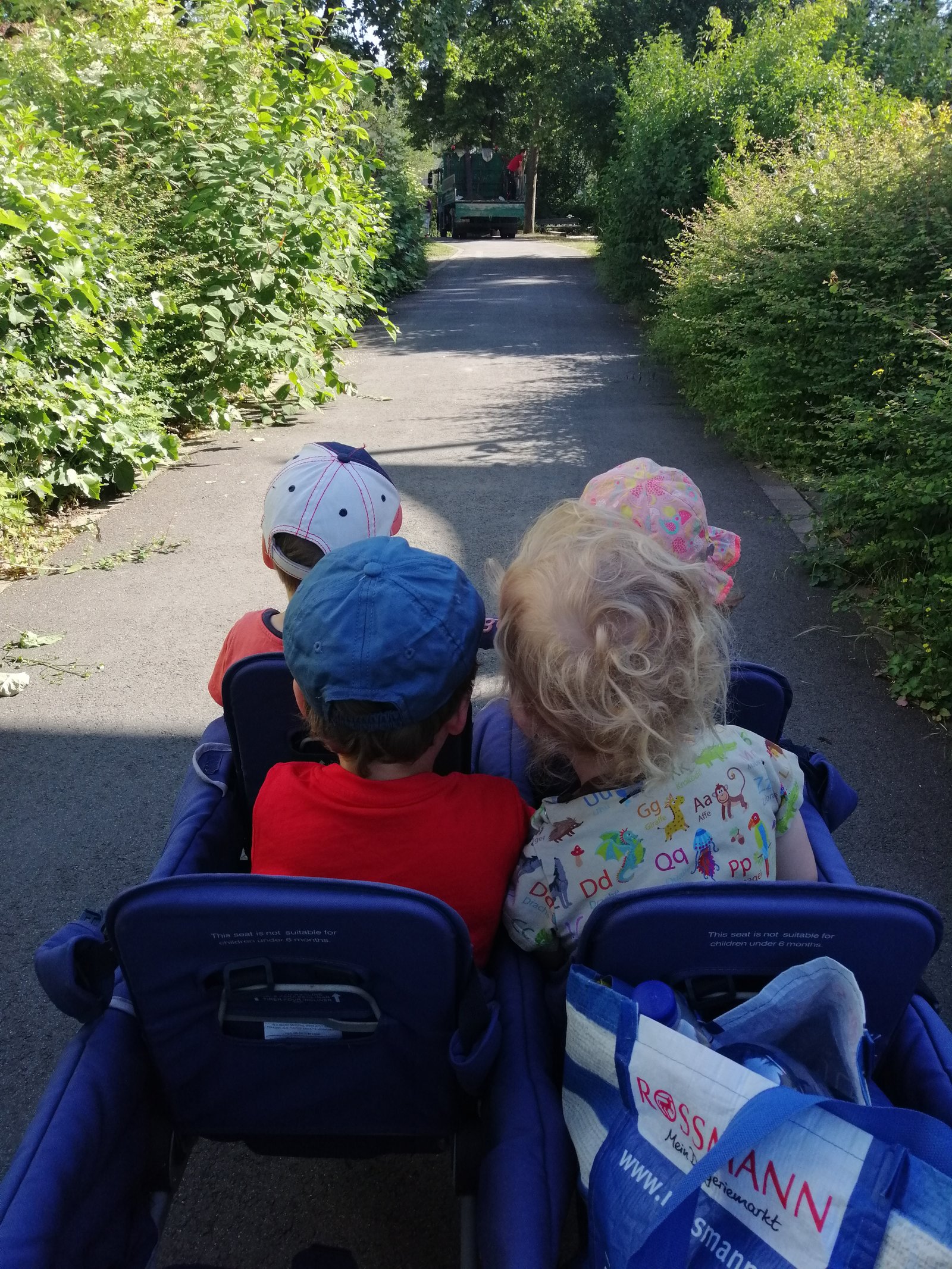 Kinder mit Kinderwagen auf einem Weg im Grünen
