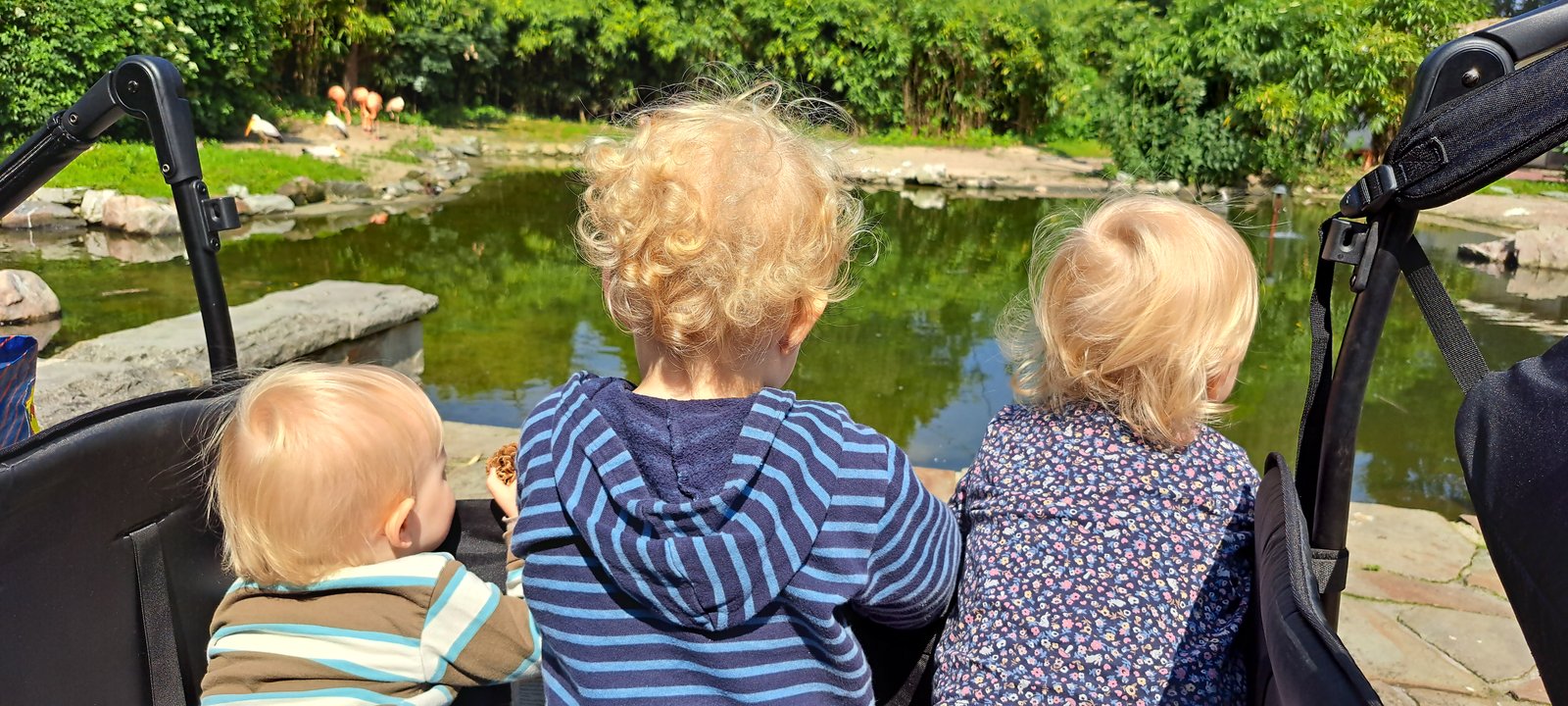 Kinder bei Tieren im Außengehege