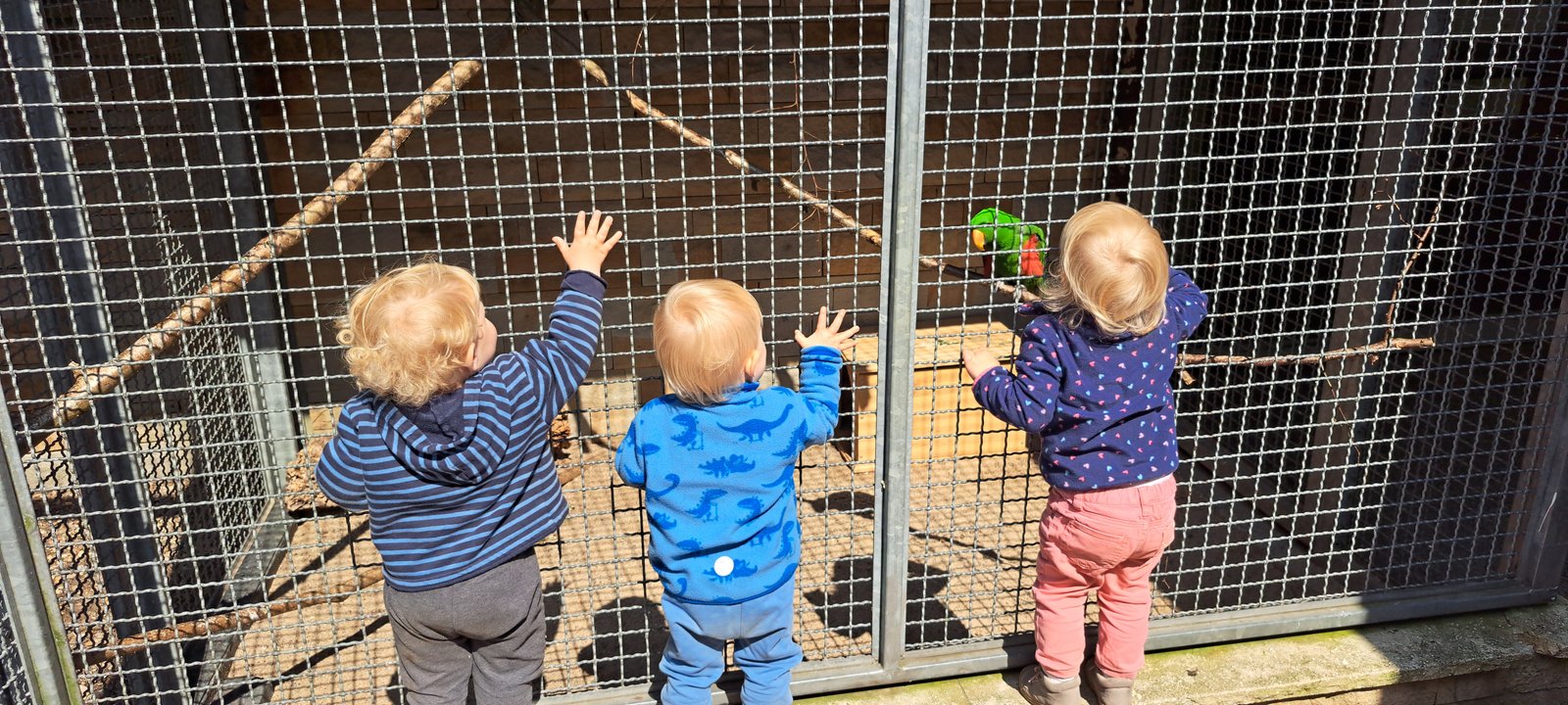 Kinder an einem Gehegezaun