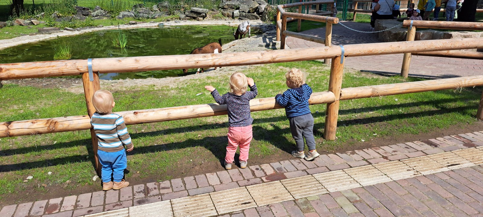 Kinder auf einem Spielplatz